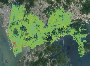 深圳市建筑物和基础设施年度体检